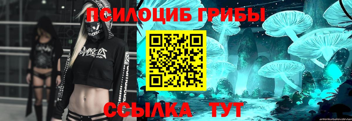 Котлас  Галлюциногенные грибы мухоморы  Вход с VPN 