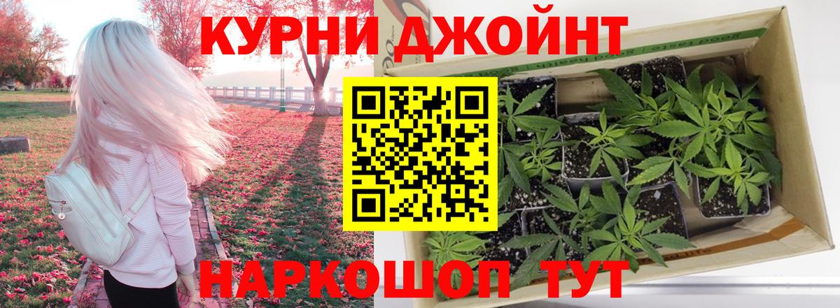 Каннабис конопля Котлас